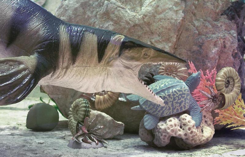 Cretaceous Sea Diorama