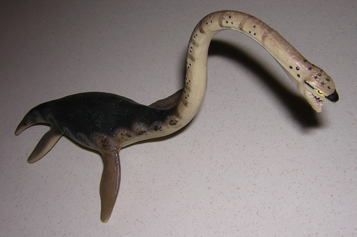 Elasmosaurus Carnegie