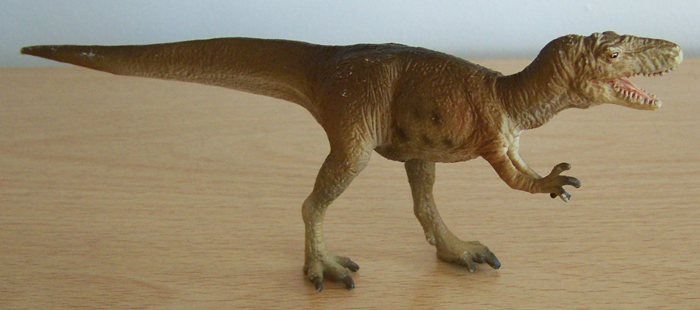 Sinraptor Carnegie