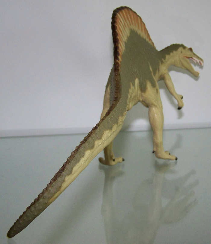 Spinosaurus Carnegie