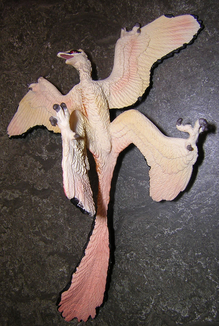 Microraptor (carnegie Safari)