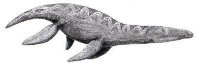 _Liopleurodon ferox_, artwork by Adam S. Smith